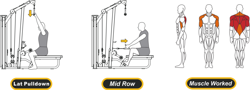 lat pull down mid row muscle worked