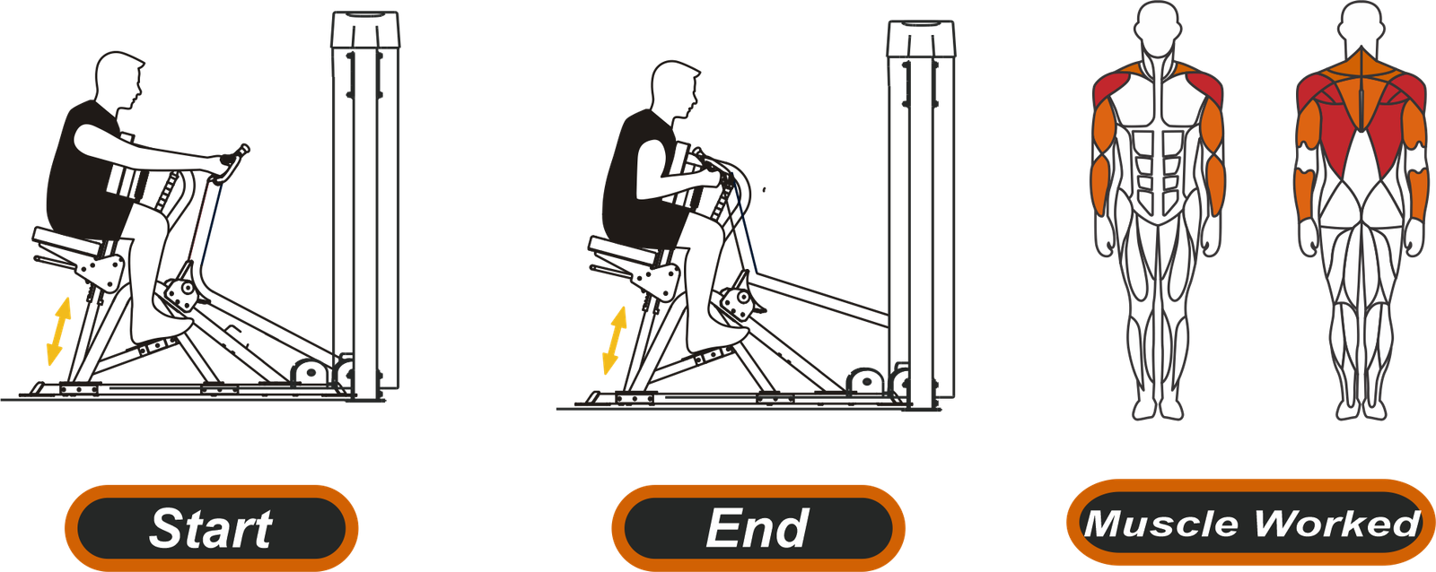 Spider Rows Exercise GS-9013 Spider Row - Muscle Fit