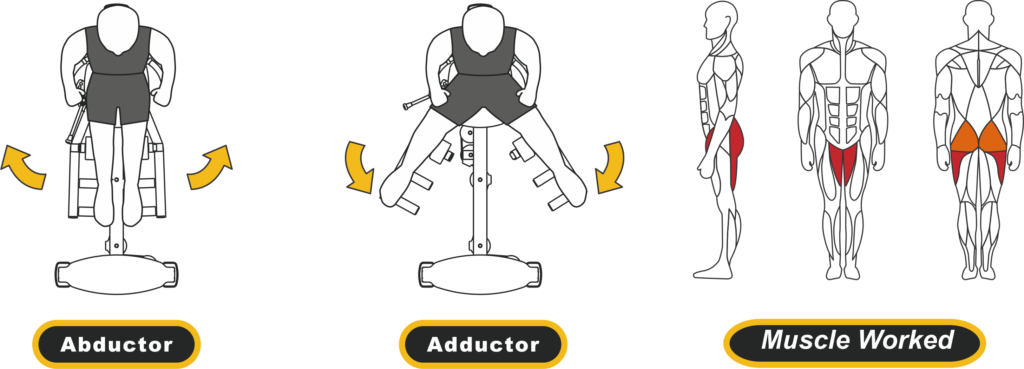 Abductor Adductor muscle worked 