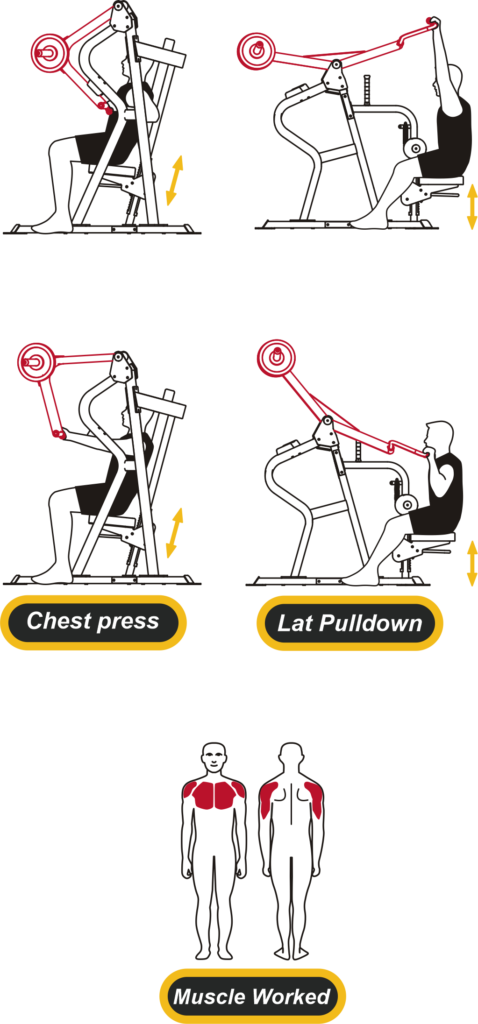 lat pulldown chest press machine muscle worked