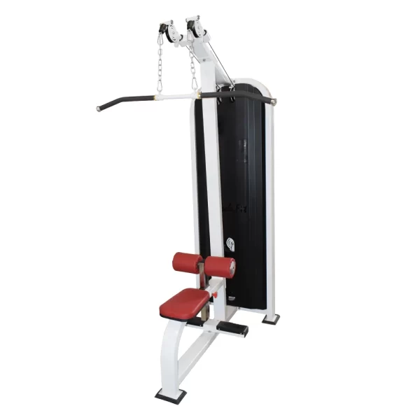 dual pulley lat pulldown